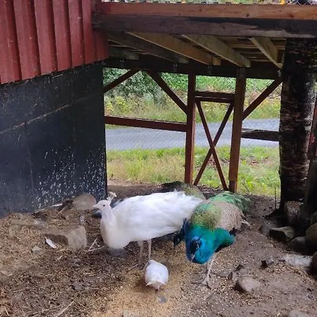 Storlykkja Farm