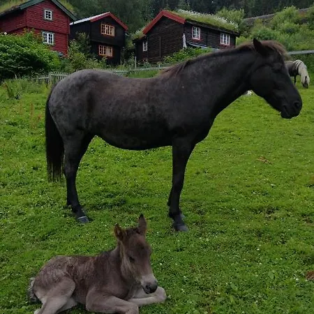 Storlykkja Farm * Storen