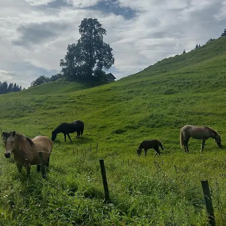 Storlykkja Farm * Storen