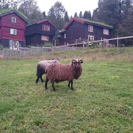 Storlykkja Farm * Storen